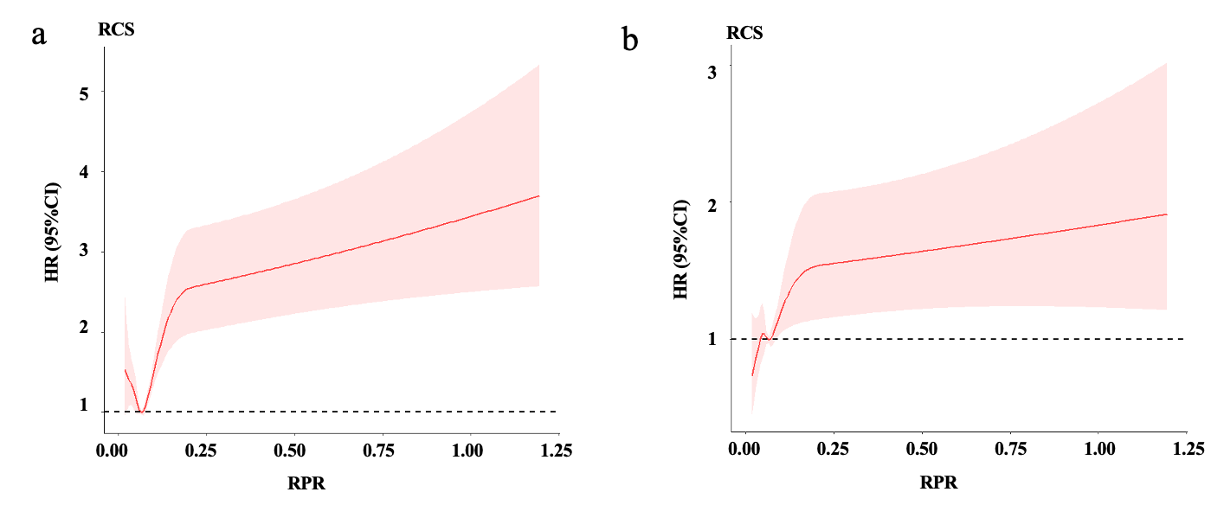 Experimental Setup