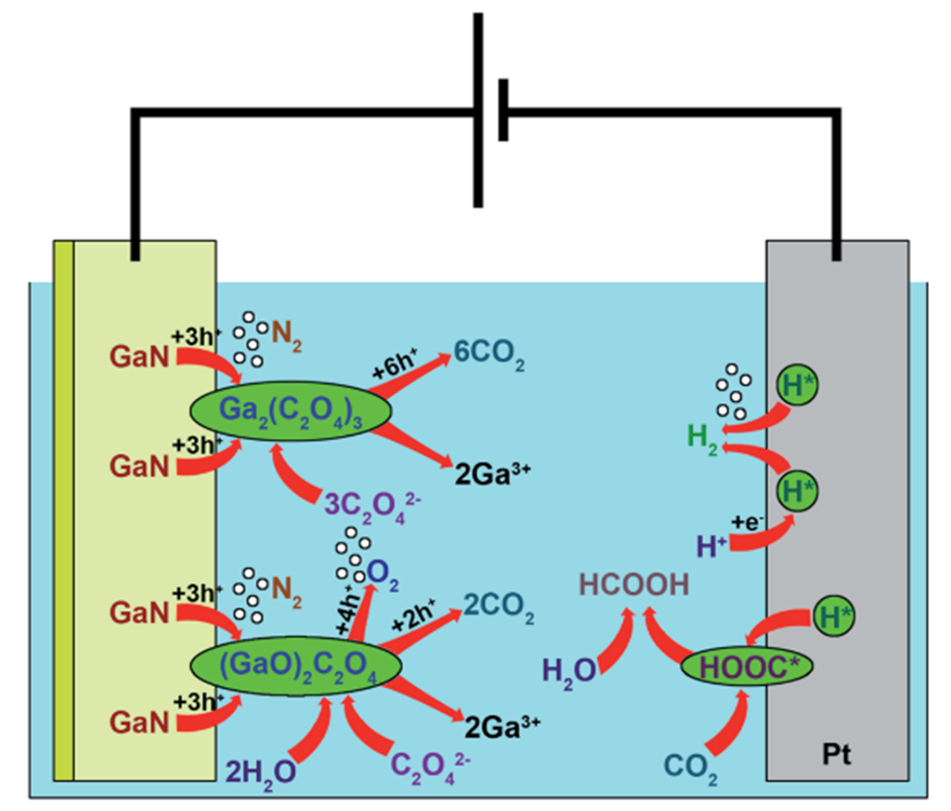The crystal structure of GaN