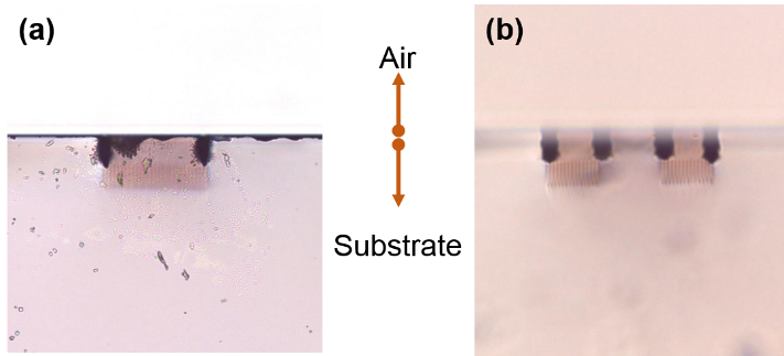 figure3.png