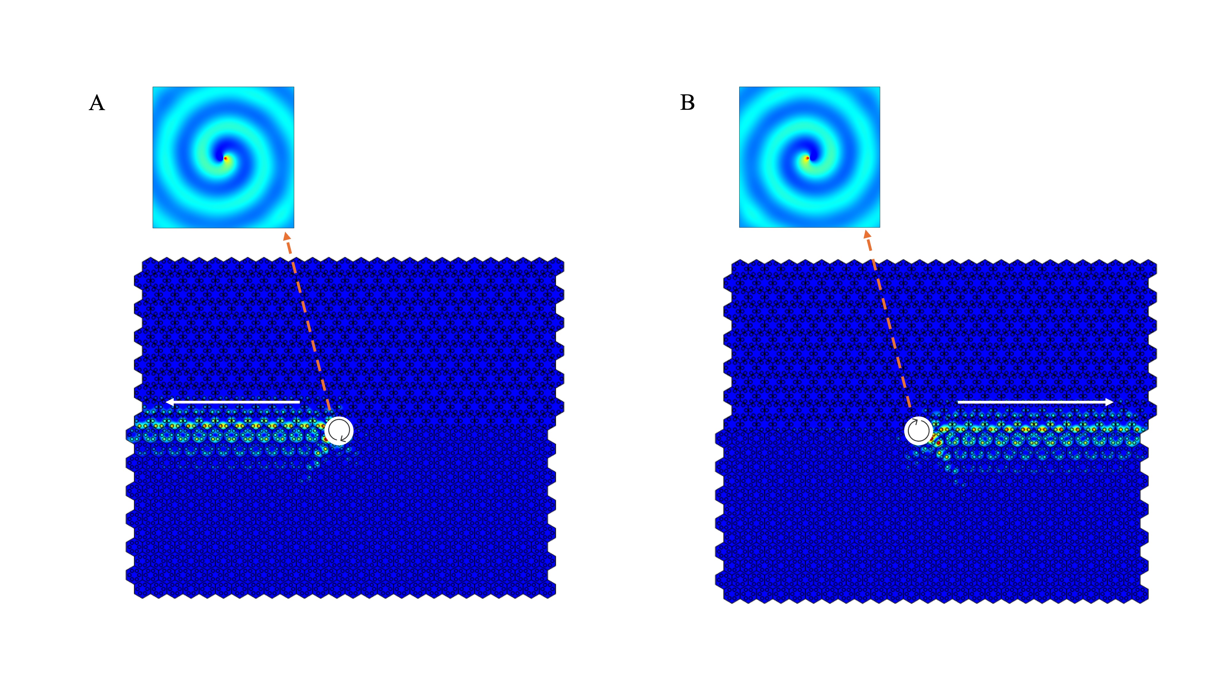 Experimental Setup