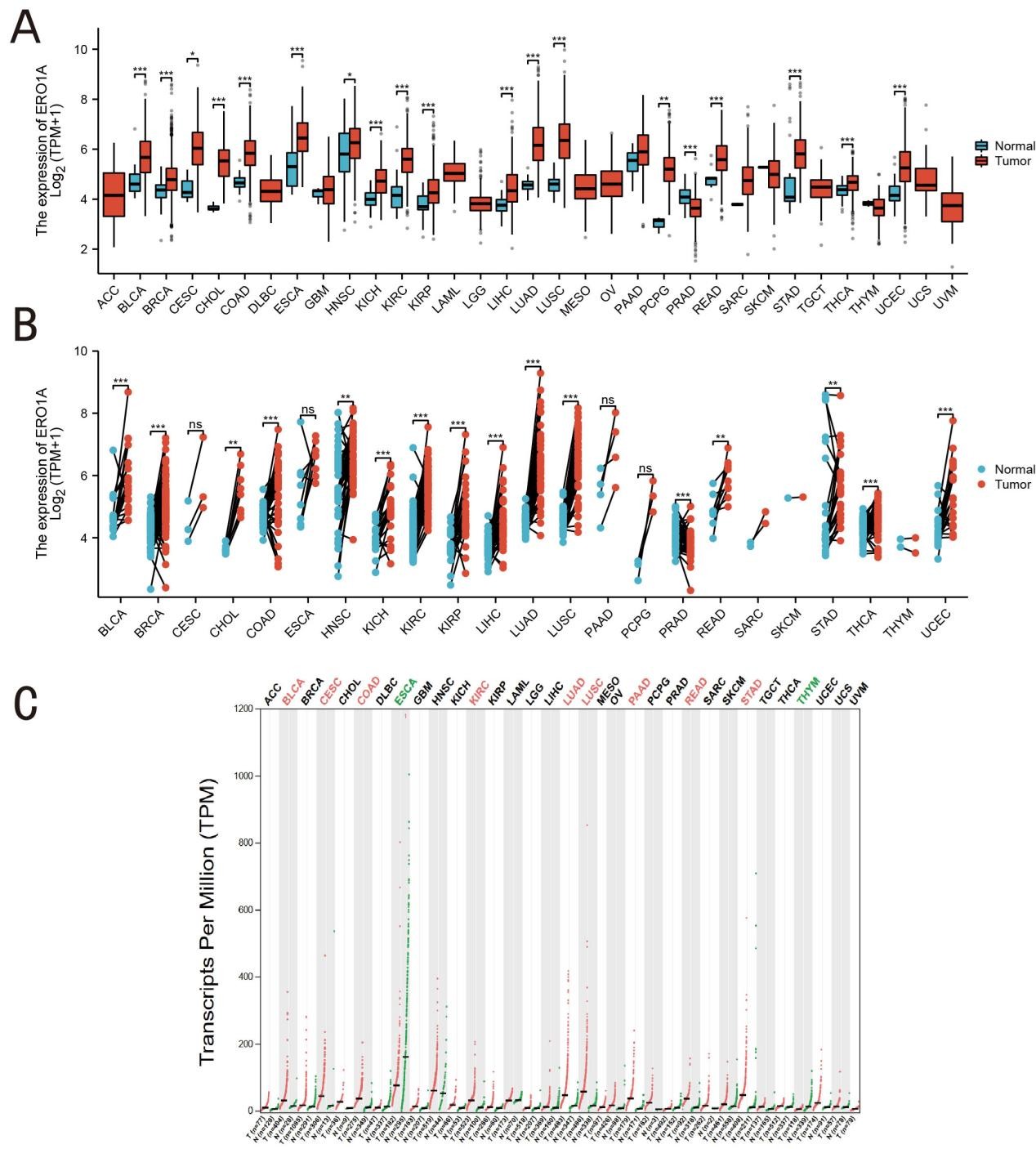 Figure 1. Expression level of ERO1A in tumors and normal tissues.