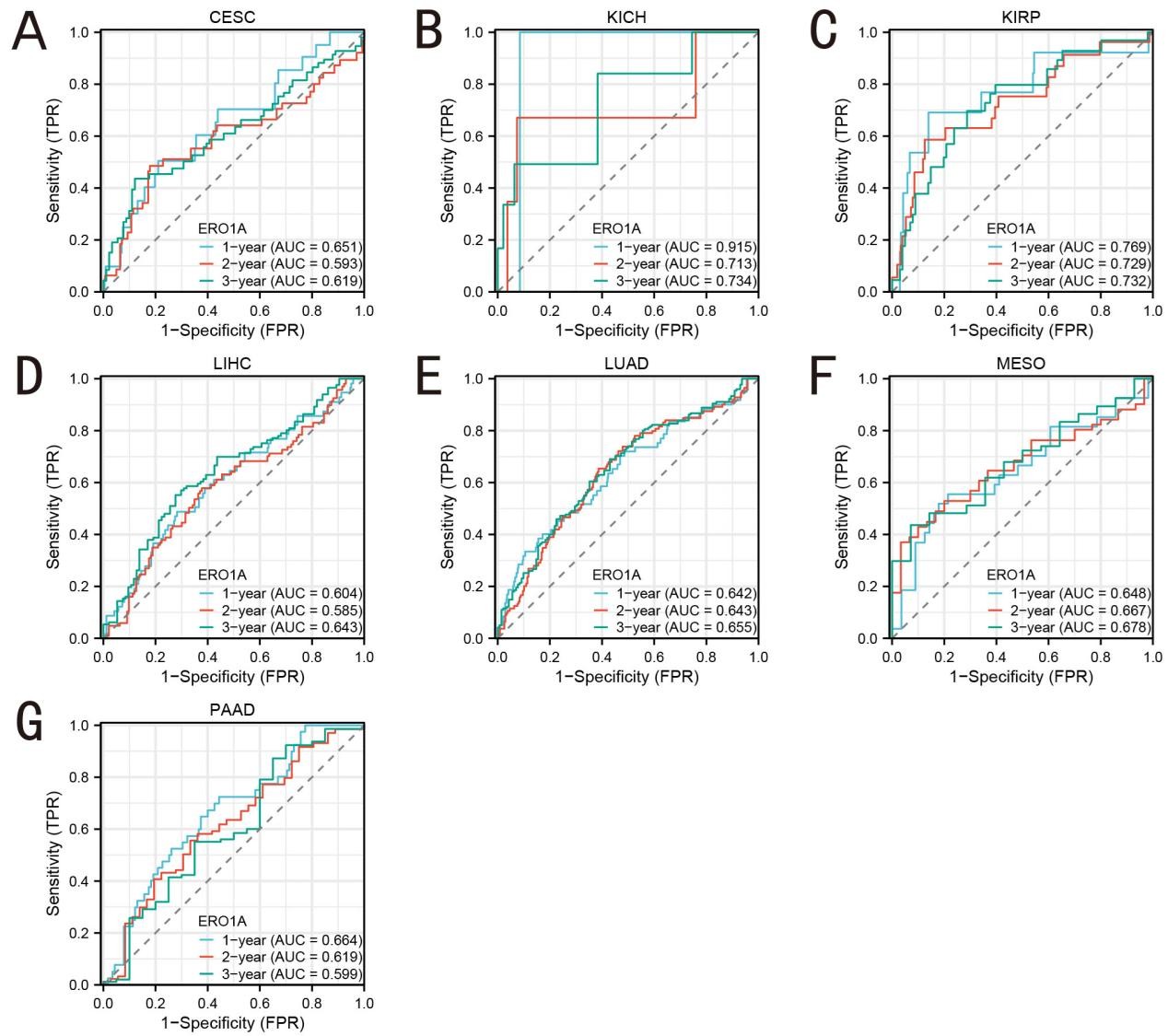 Figure 4. Area under the time-dependent ROC curve of pan-cancer.