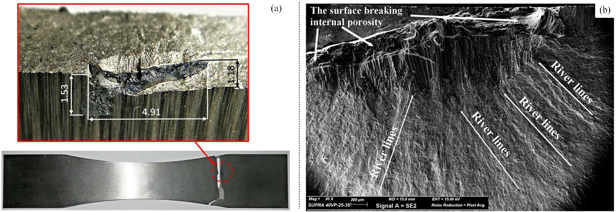 Single-line optical waveguides